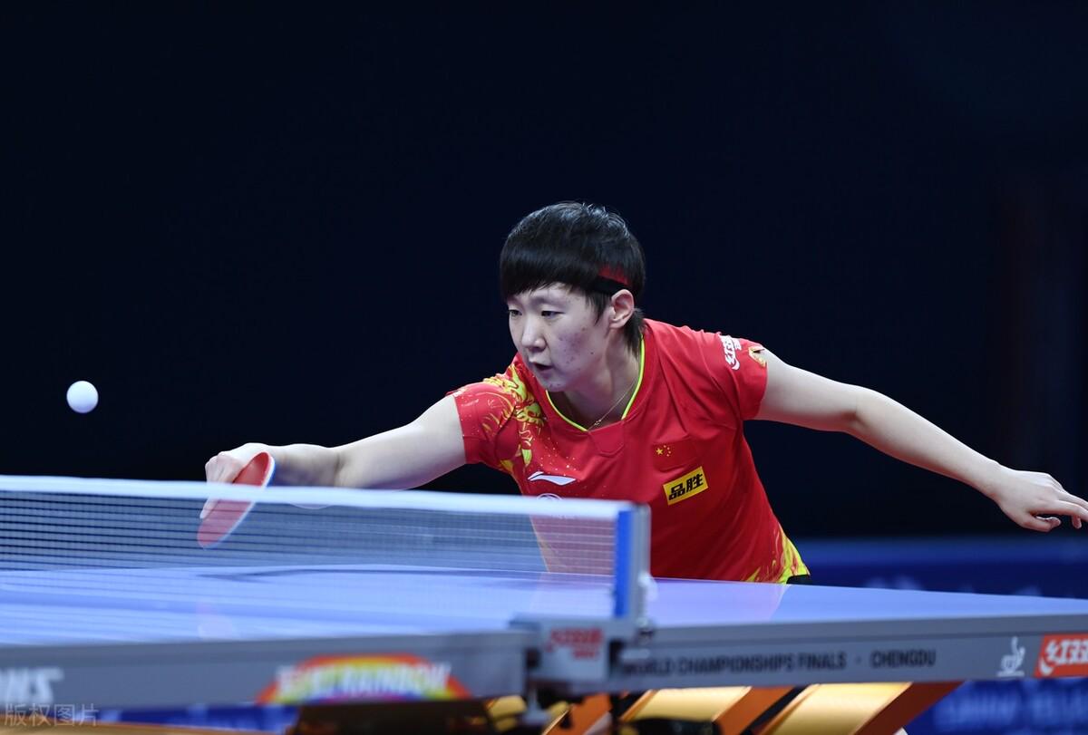 戰術多樣性 戰術多樣性